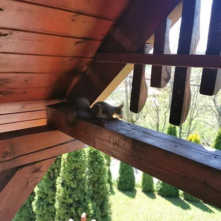 Sokristaly Vendeghaz Guest house Demjen